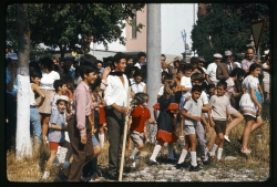 Caccia alla fragola - Sagra di Albareto anni '80